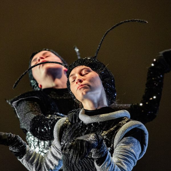 Beskrilci-u-oblacima-Plesni-Zbirkus-2022-11 Beskrilci-u-oblacima-Plesni-Zbirkus-2022-11