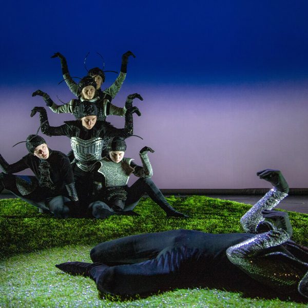 Beskrilci-u-oblacima-Plesni-Zbirkus-2022-13 Beskrilci-u-oblacima-Plesni-Zbirkus-2022-13